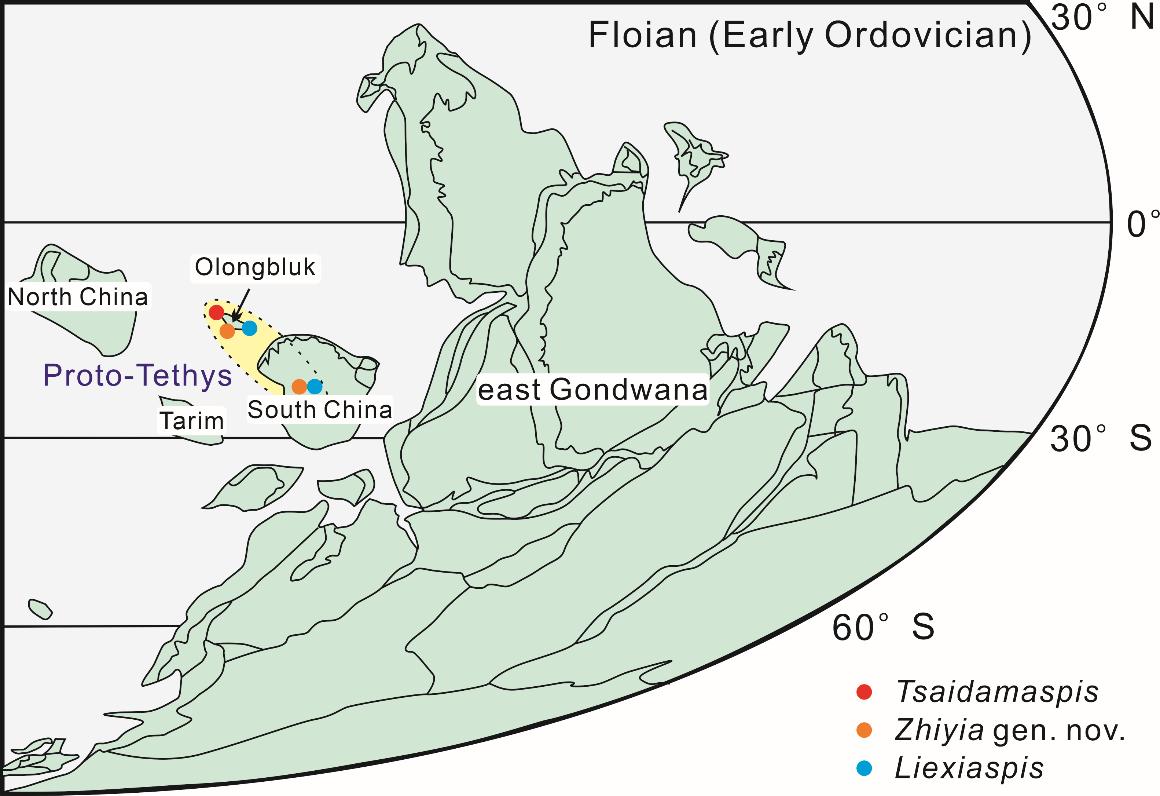 ŷ����³�˵������������Ҷ����ŵ�������ʶ