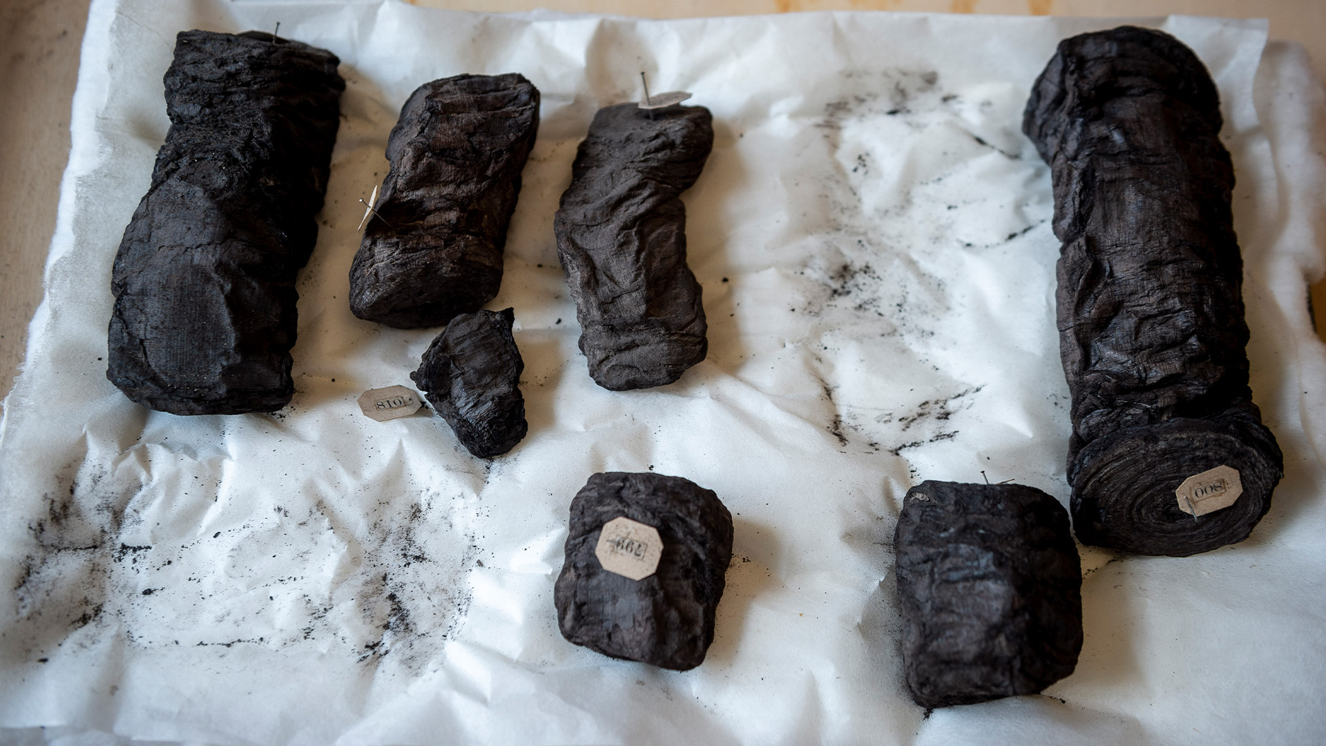 2024����ܳ��ֵ�5�󿼹ŷ���