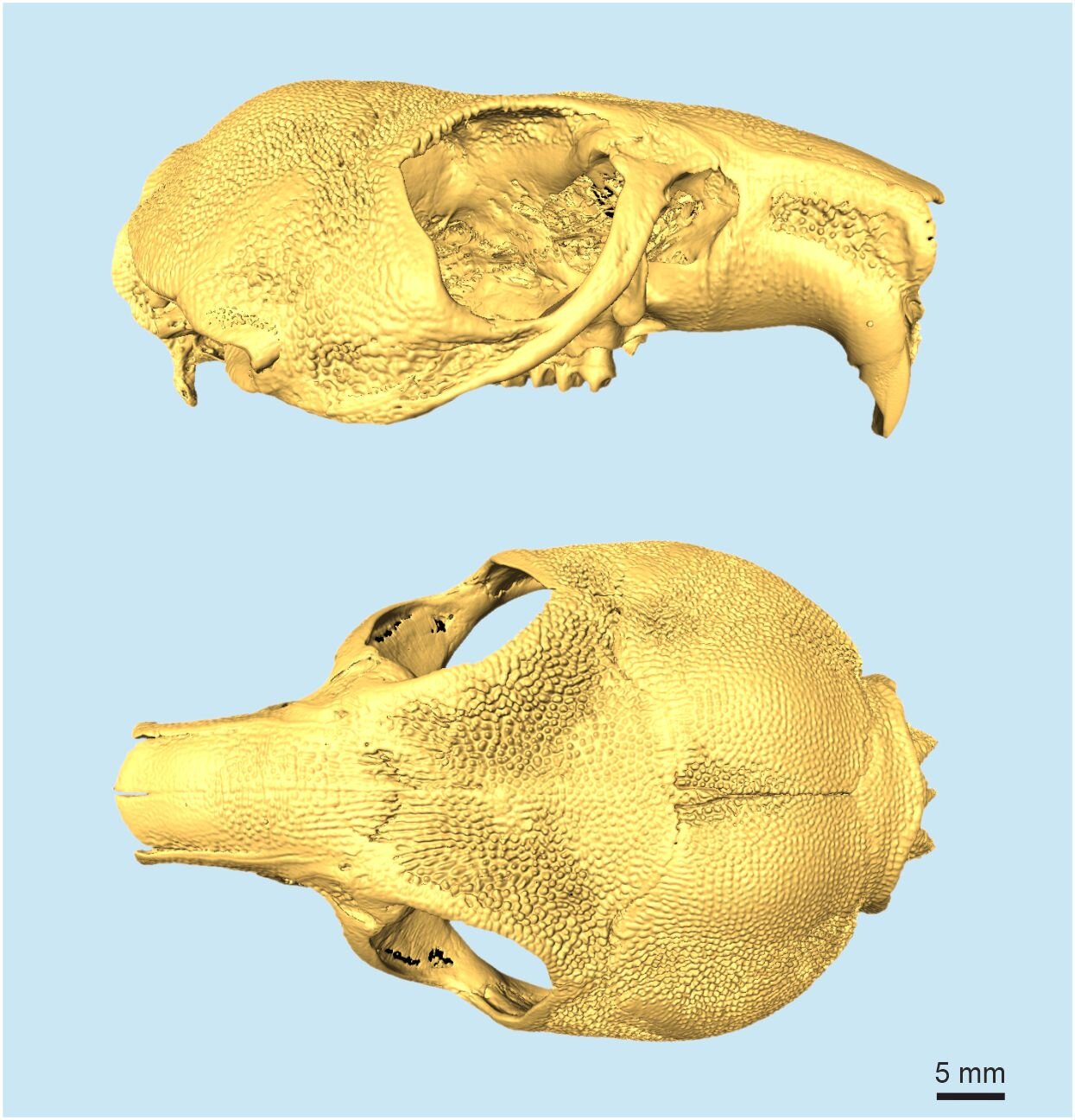 ���໯ʯ����׵������ʾ�����ԵĽ�ڣ������ǡ��ڲ��Ǽס�