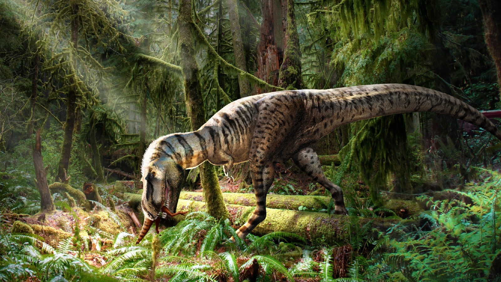 2023年出土的10块令人瞠目结舌的恐龙化石