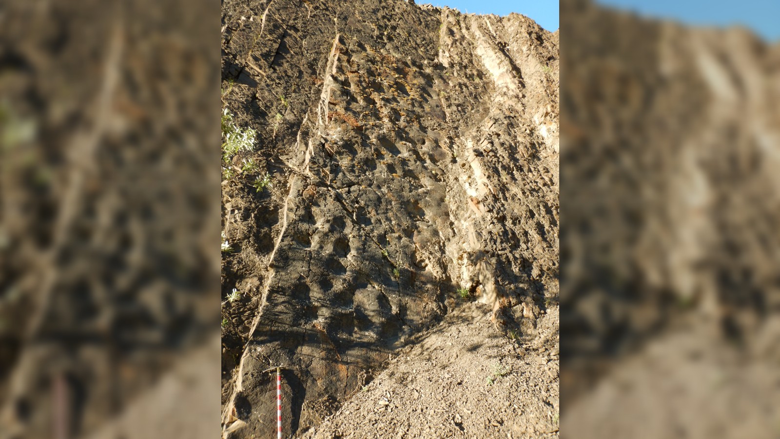 2023�������10�������Ŀ����Ŀ�����ʯ