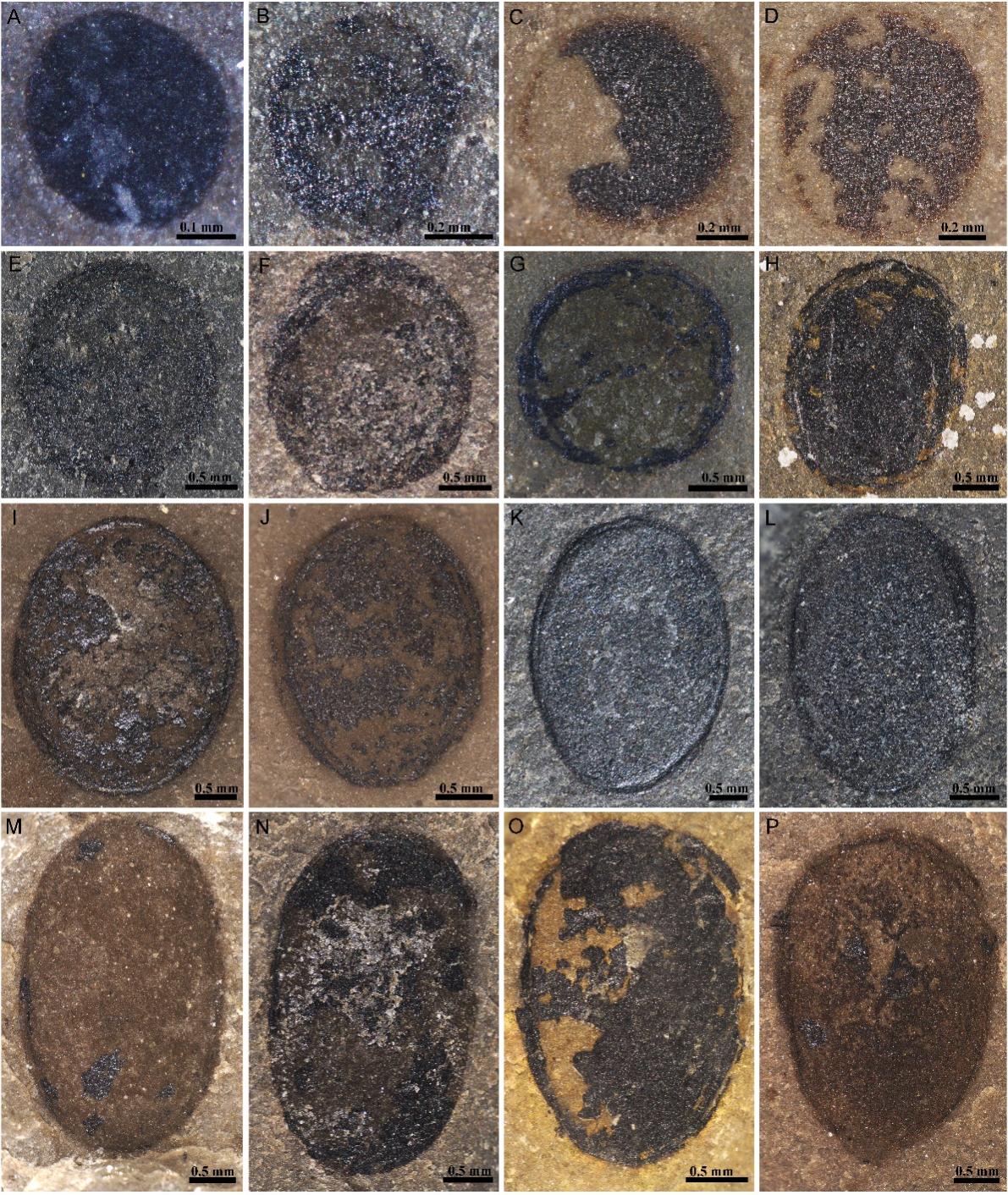 ������̨10����ǰ��������������о�ȡ���½�չ