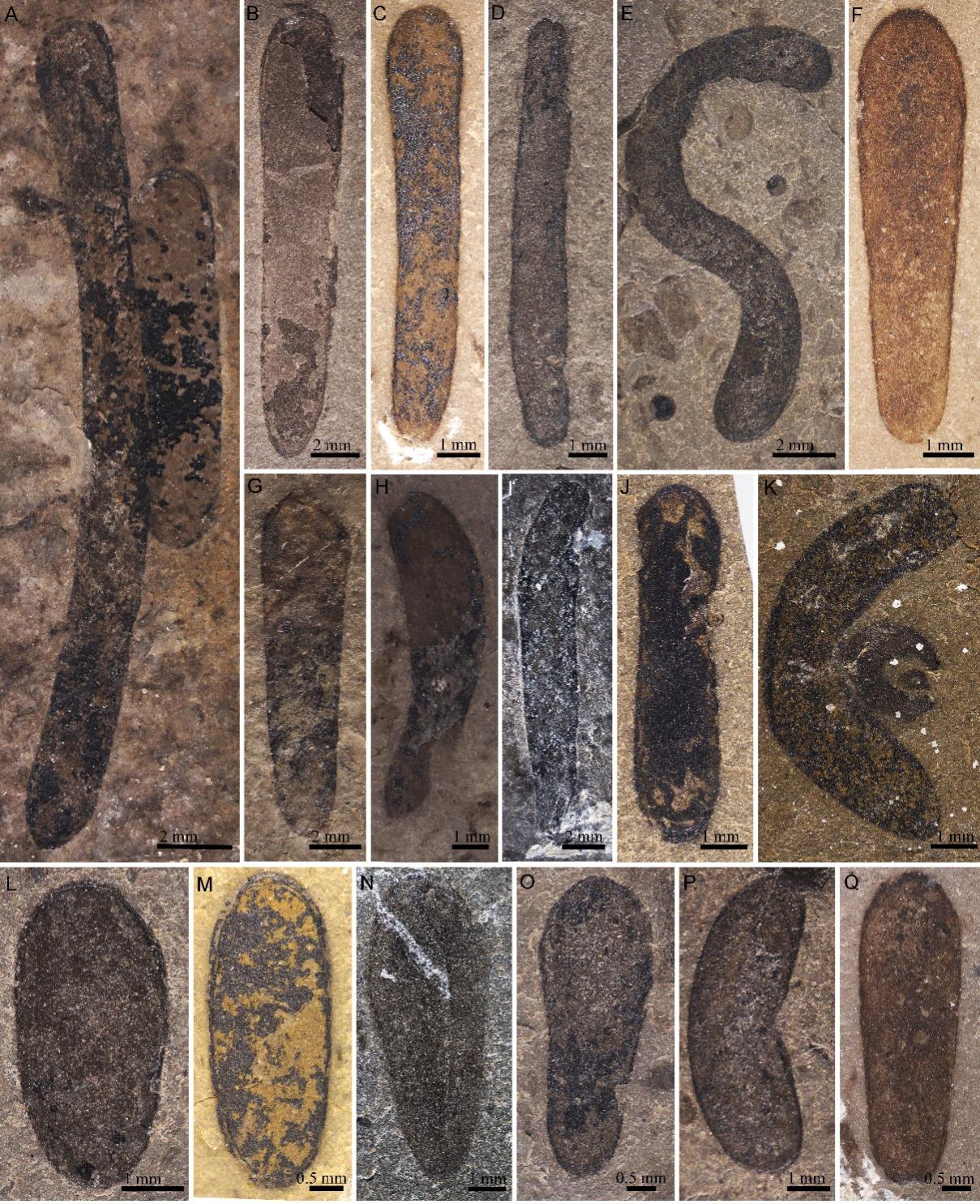 ������̨10����ǰ��������������о�ȡ���½�չ