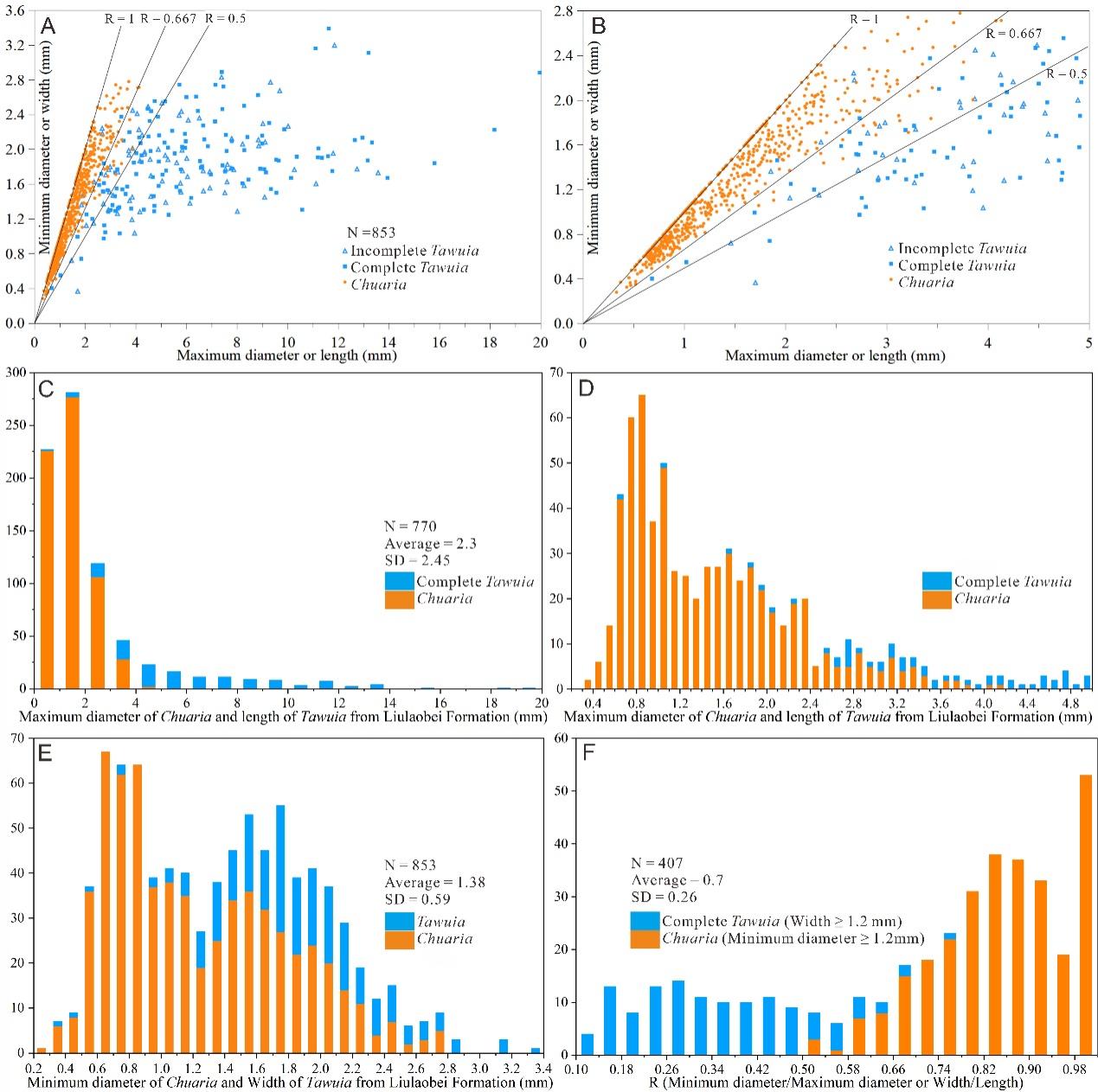 ������̨10����ǰ��������������о�ȡ���½�չ