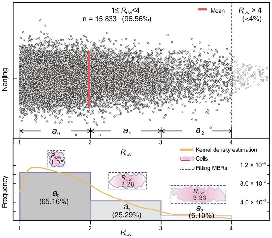 �·�����ʾ����ֲ��ҶƬ��Ƥ������Զ������仯����Ϣ