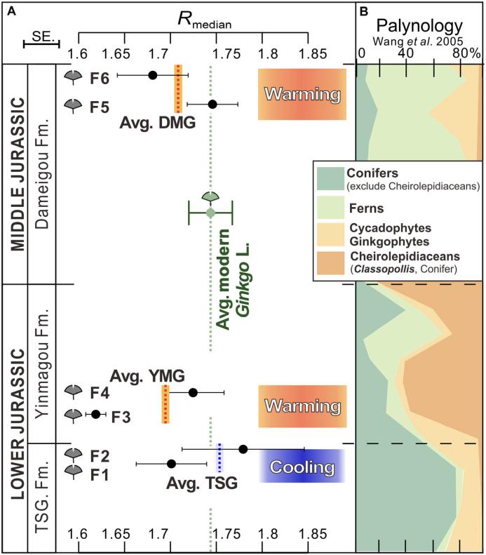 �·�����ʾ����ֲ��ҶƬ��Ƥ������Զ������仯����Ϣ