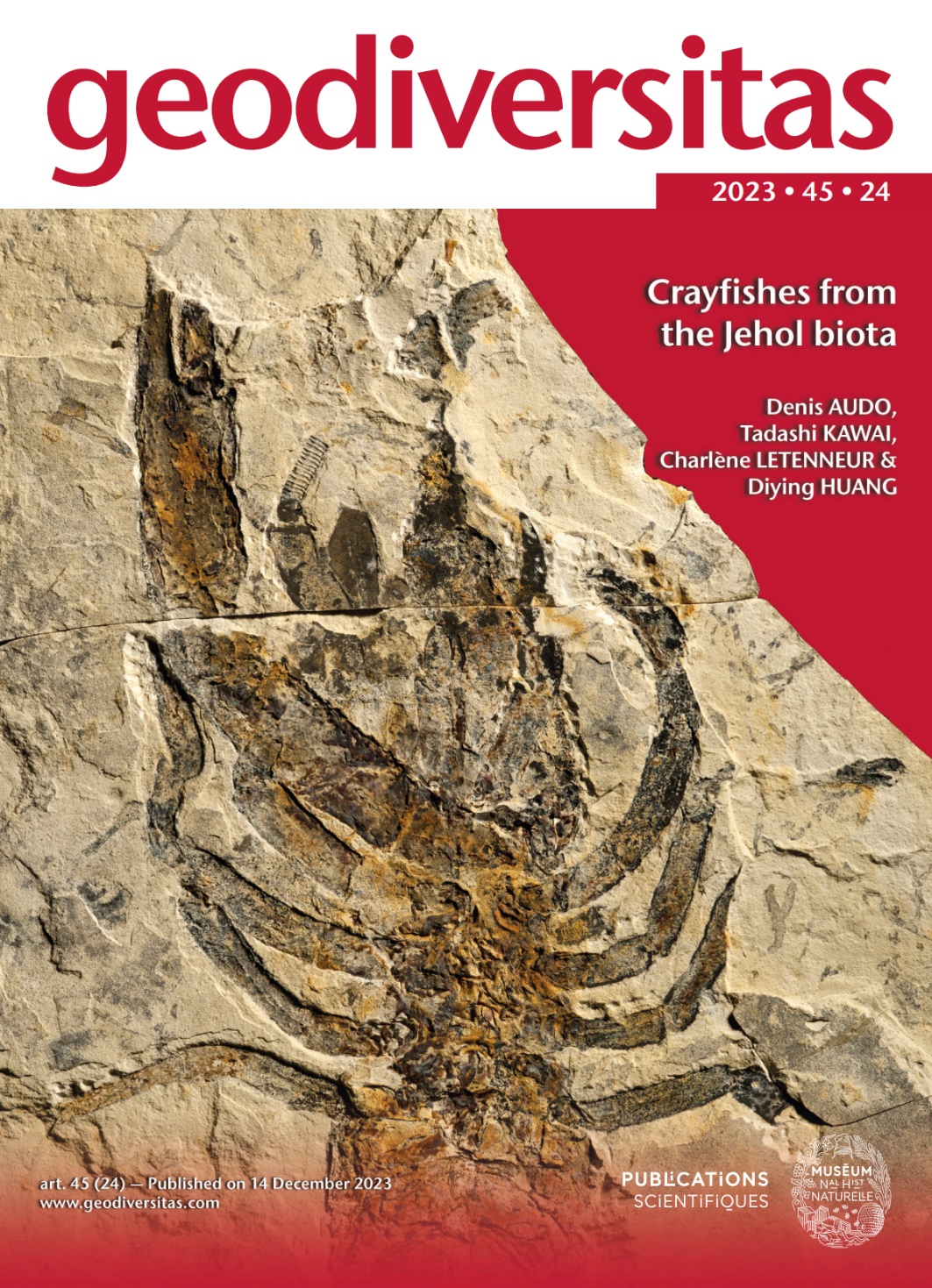 1.25����ǰ�Ⱥ�����Ⱥ��С��Ϻ����ʯ����ʶ