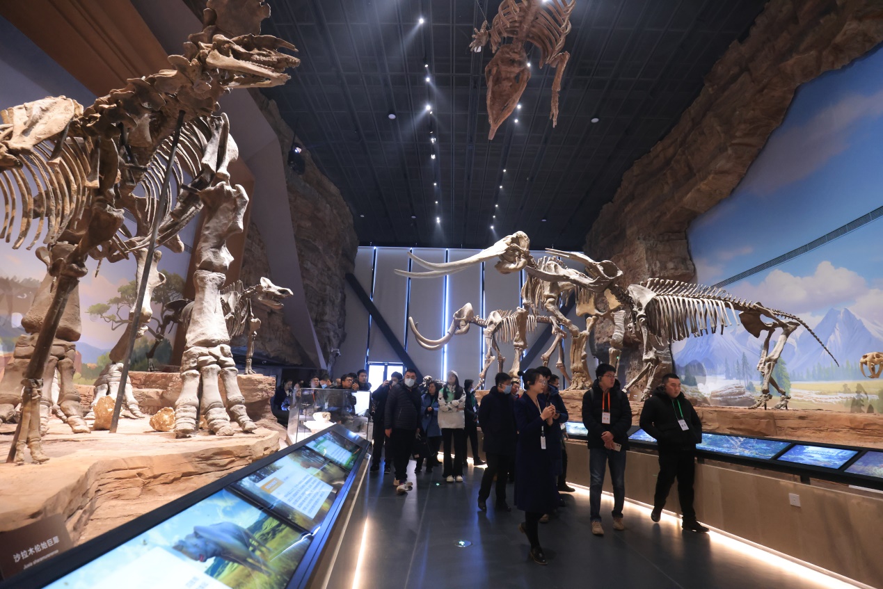 中国古动物馆（保定自然博物馆）正式面向公众开放