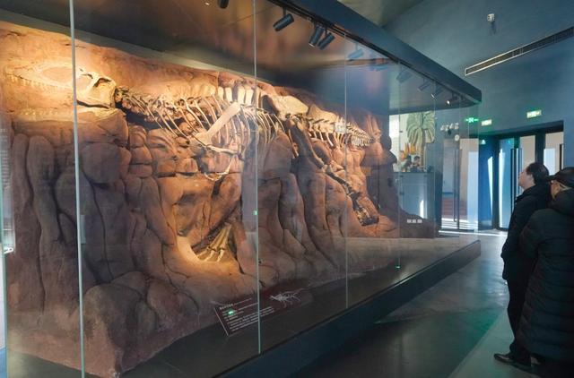 ȫ��Ψһ�л�������ʯ���й��Ŷ�������֮�������½�