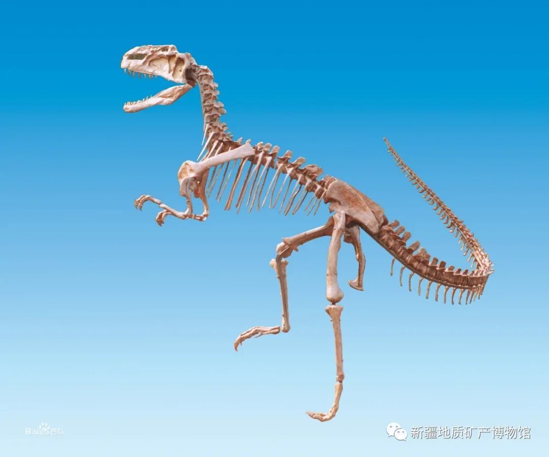 ȫ��Ψһ�л�������ʯ���й��Ŷ�������֮�������½�