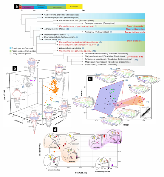 ��ʯ�²��Ϻ��¼�����ʾ���������ݻ���ʷ