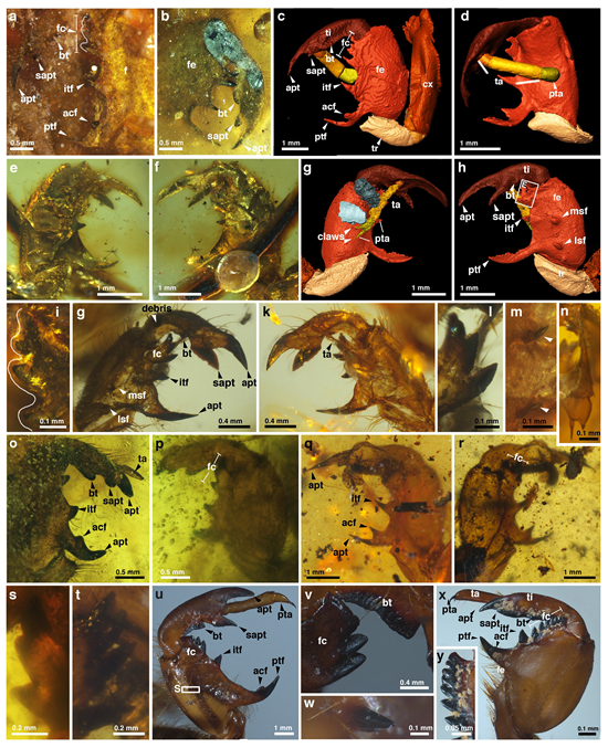 ��ʯ�²��Ϻ��¼�����ʾ���������ݻ���ʷ