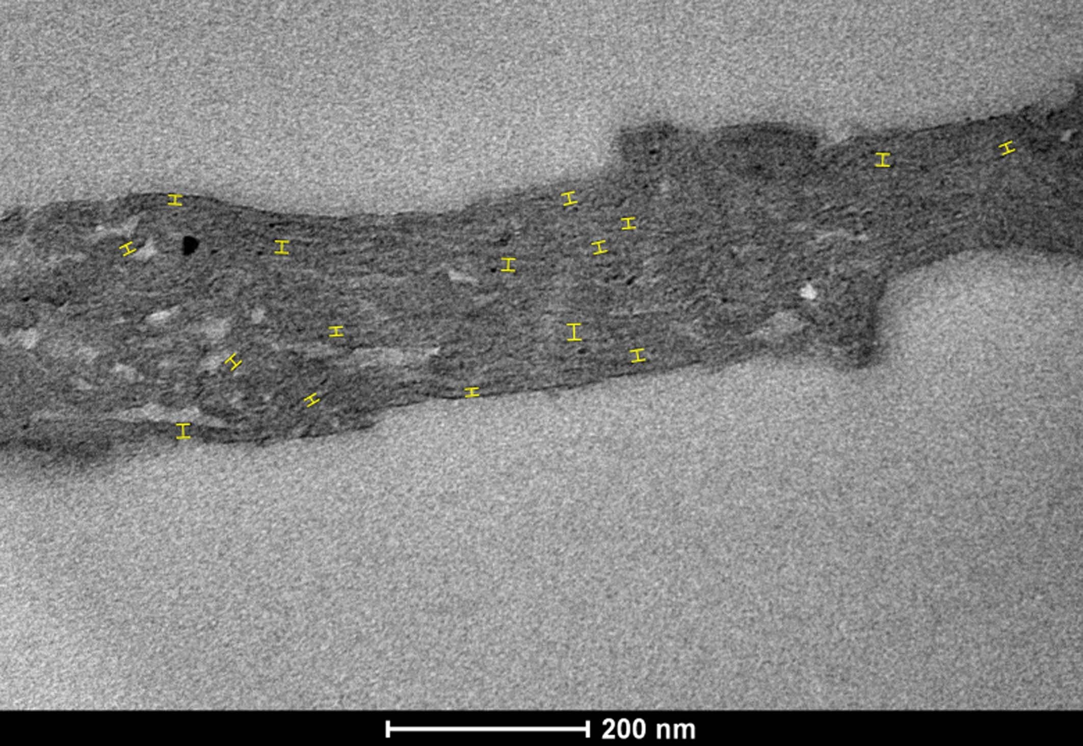 细菌化石带有最古老光合作用痕迹