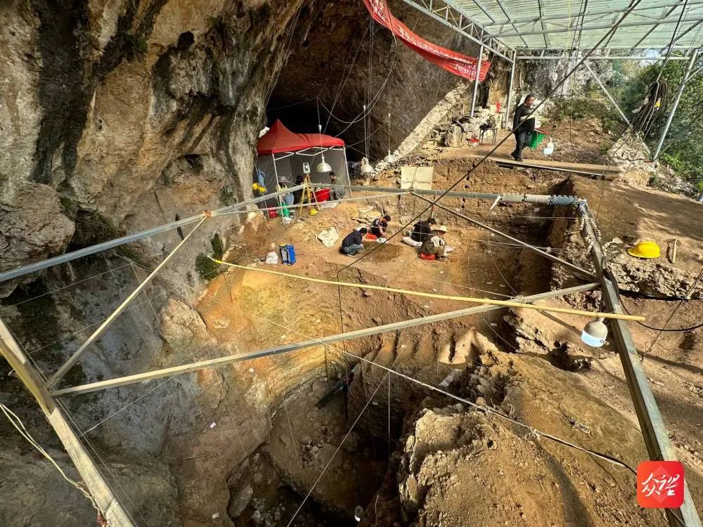 �����ն�����������Ҫ���ųɹ�����ַ����ʷ��ǰ�ƽ�����5.5����ǰ