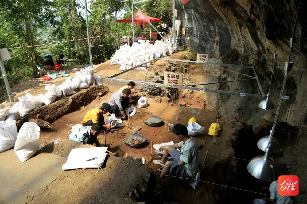 �����ն�����������Ҫ���ųɹ�����ַ����ʷ��ǰ�ƽ�����5.5����ǰ