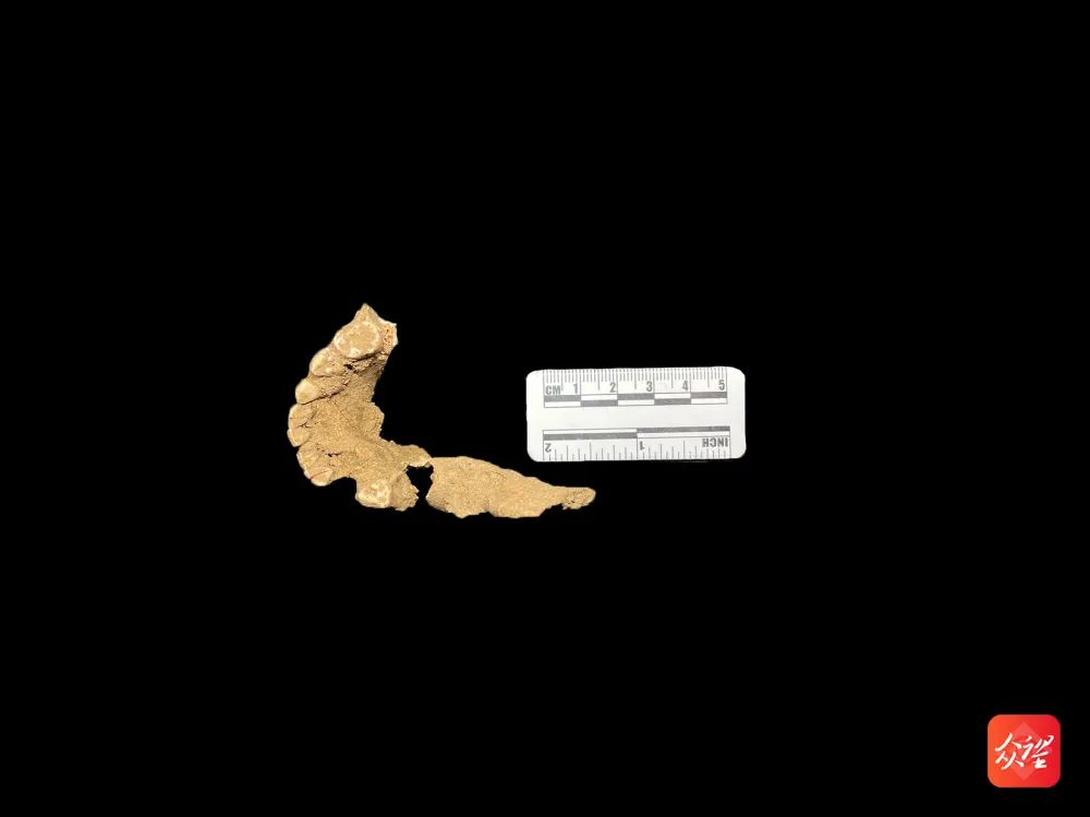 �����ն�����������Ҫ���ųɹ�����ַ����ʷ��ǰ�ƽ�����5.5����ǰ