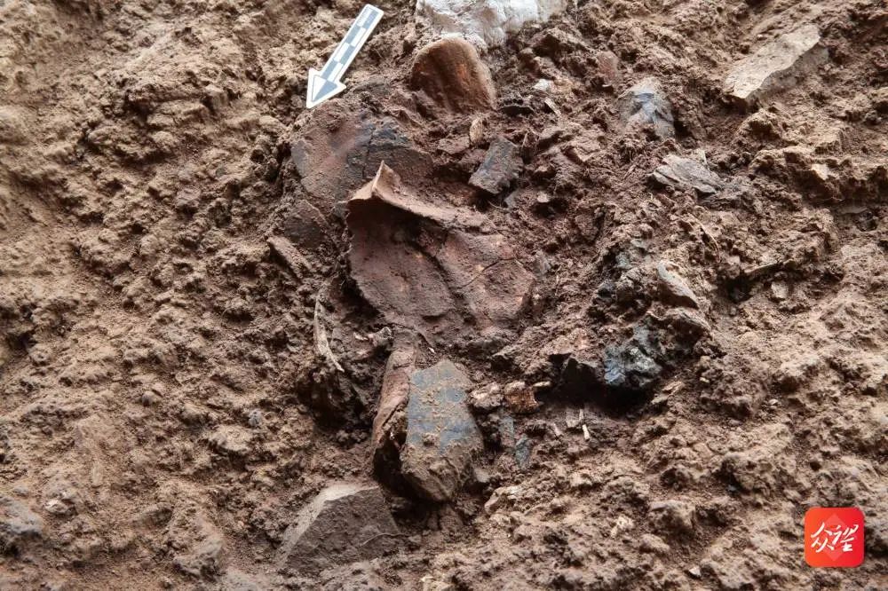 贵州普定穿洞发布重要考古成果：遗址人类活动史向前推进至少5.5万年前