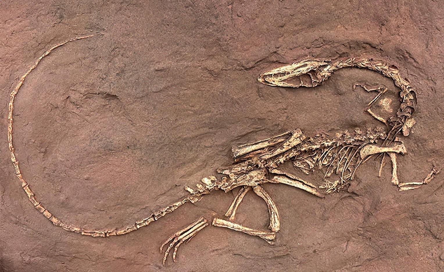 ���о���ʾ�й�������ĩ��������·���