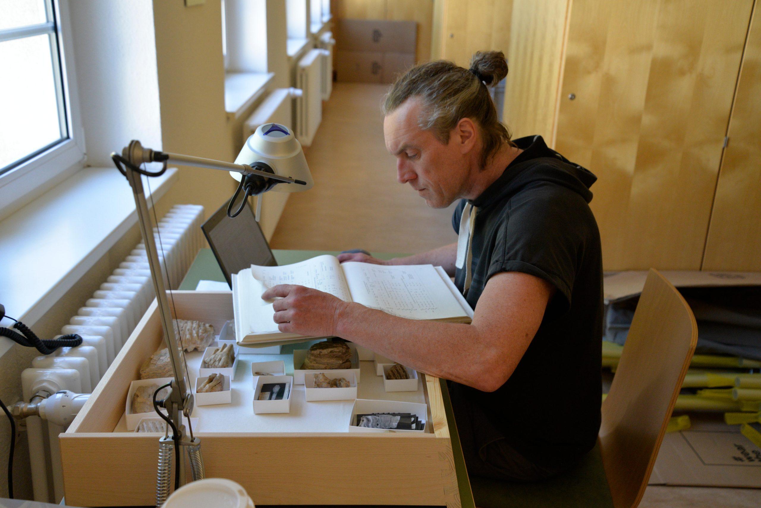 新研究揭示尼安德特人曾有组织地集体捕猎与食用古菱齿象