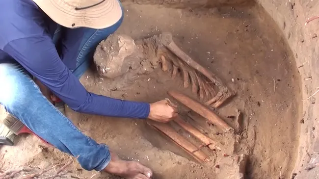 巴西发现一万年前来自未知狩猎采集群体的墓葬