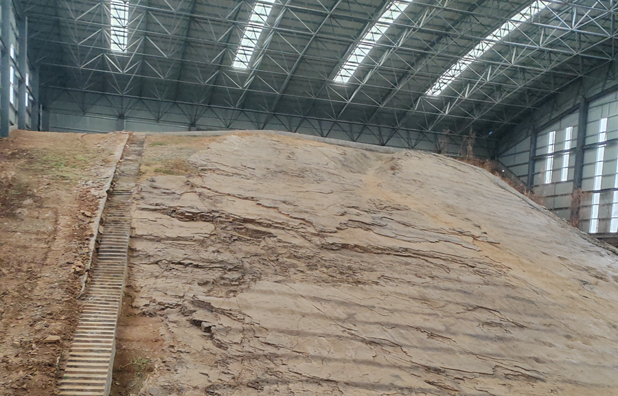 潍坊市开展国家级重点化石产地保护工作调研