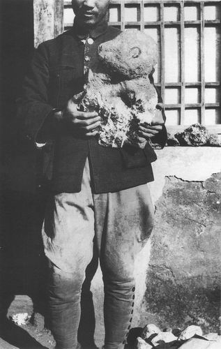 裴文中：他不仅是第一个北京猿人头盖骨的发现者