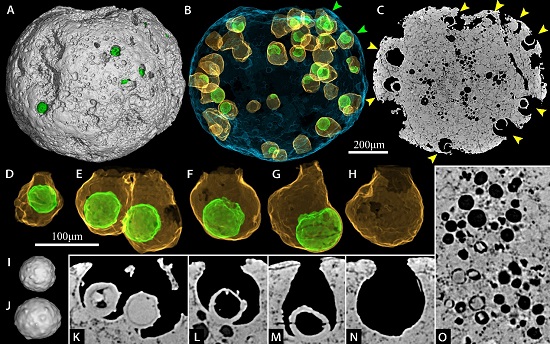 ����������Ⱥ�з��־�����ϸ������ֳϸ���ֻ�����������