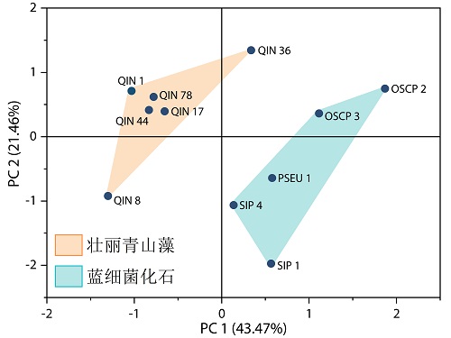 ��ɽ������������ȫ������Ķ�ϸ��������ﻯʯ