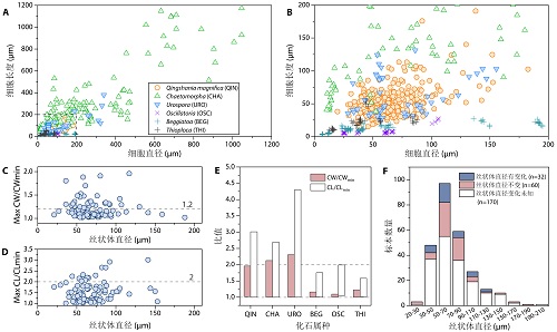 ��ɽ������������ȫ������Ķ�ϸ��������ﻯʯ