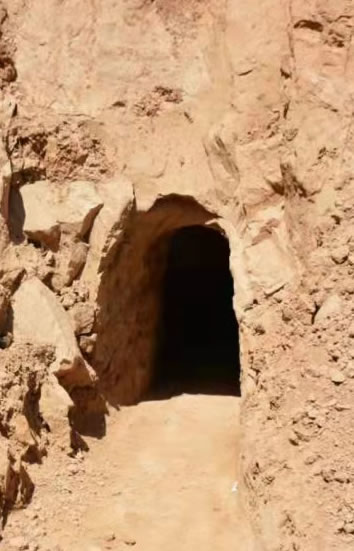 三人盗掘古脊椎动物化石被刑拘