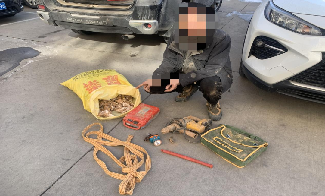 榆阳公安侦破一起盗掘古脊椎动物化石案