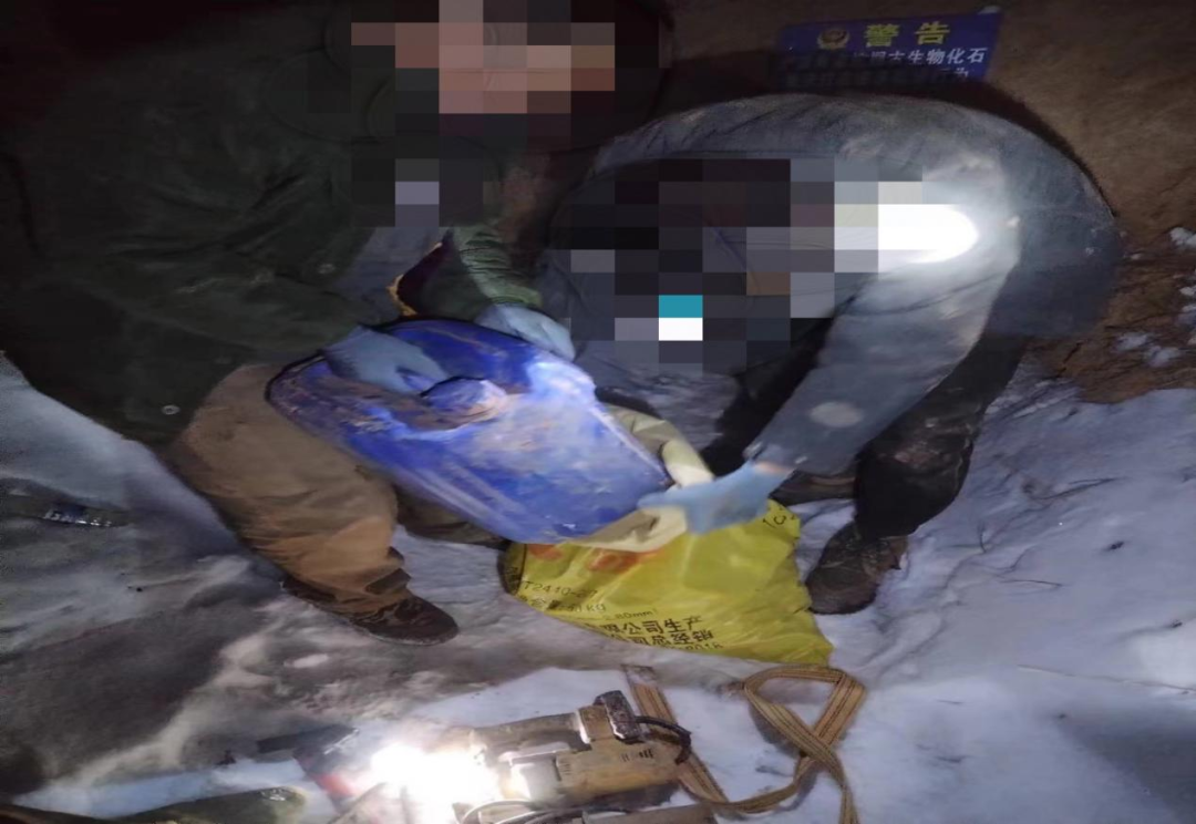 榆阳公安侦破一起盗掘古脊椎动物化石案