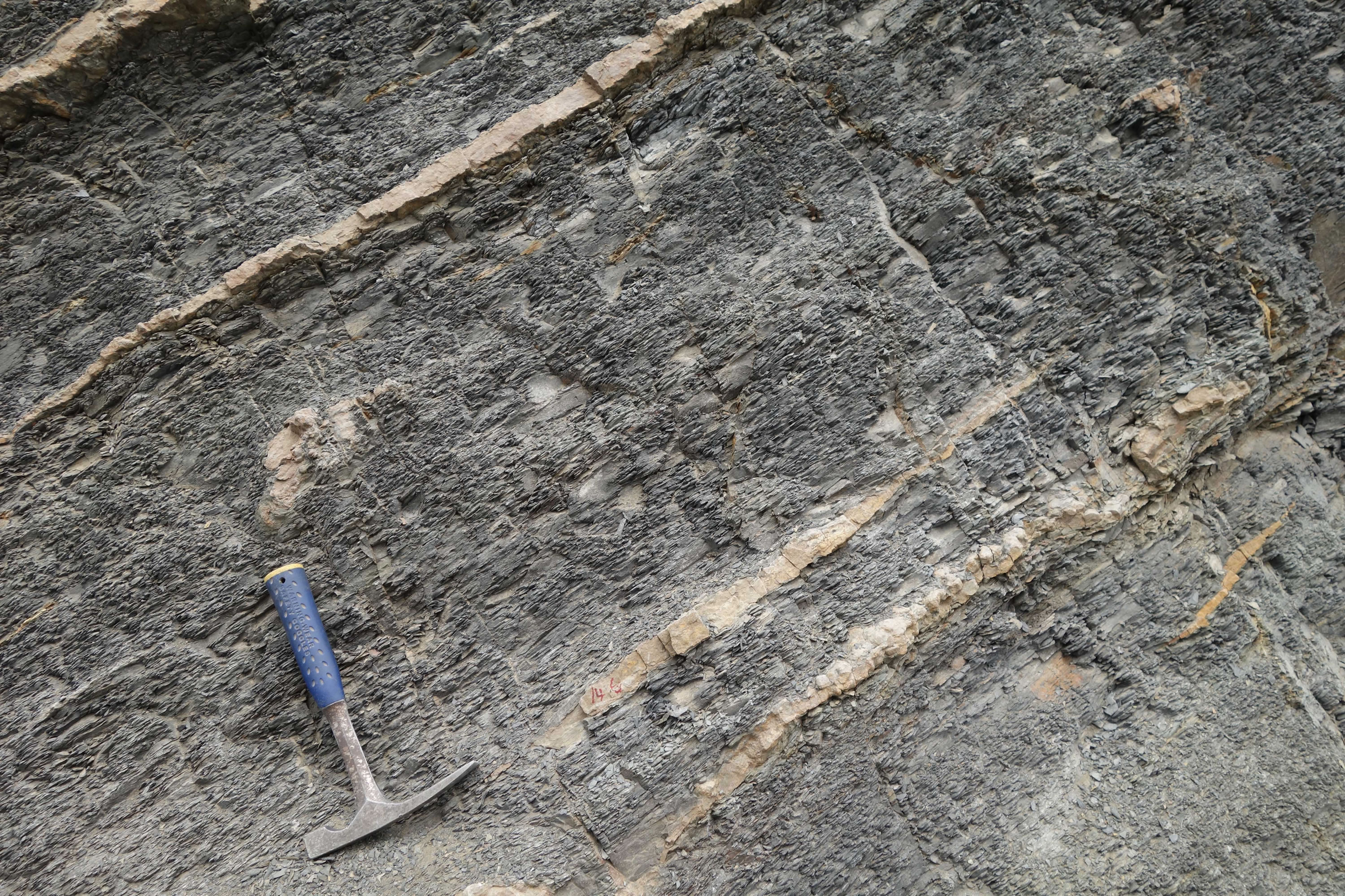 ����8�껯ʯ��������������Ķ�ϸ���������