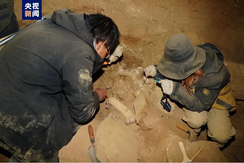 ���ھ��5.3���꣡��ظ�ԭ����ʷǰ��Ѩ��ַ���������·���