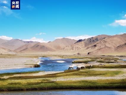 ���ھ��5.3���꣡��ظ�ԭ����ʷǰ��Ѩ��ַ���������·���