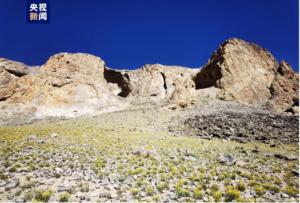 ���ھ��5.3���꣡��ظ�ԭ����ʷǰ��Ѩ��ַ���������·���