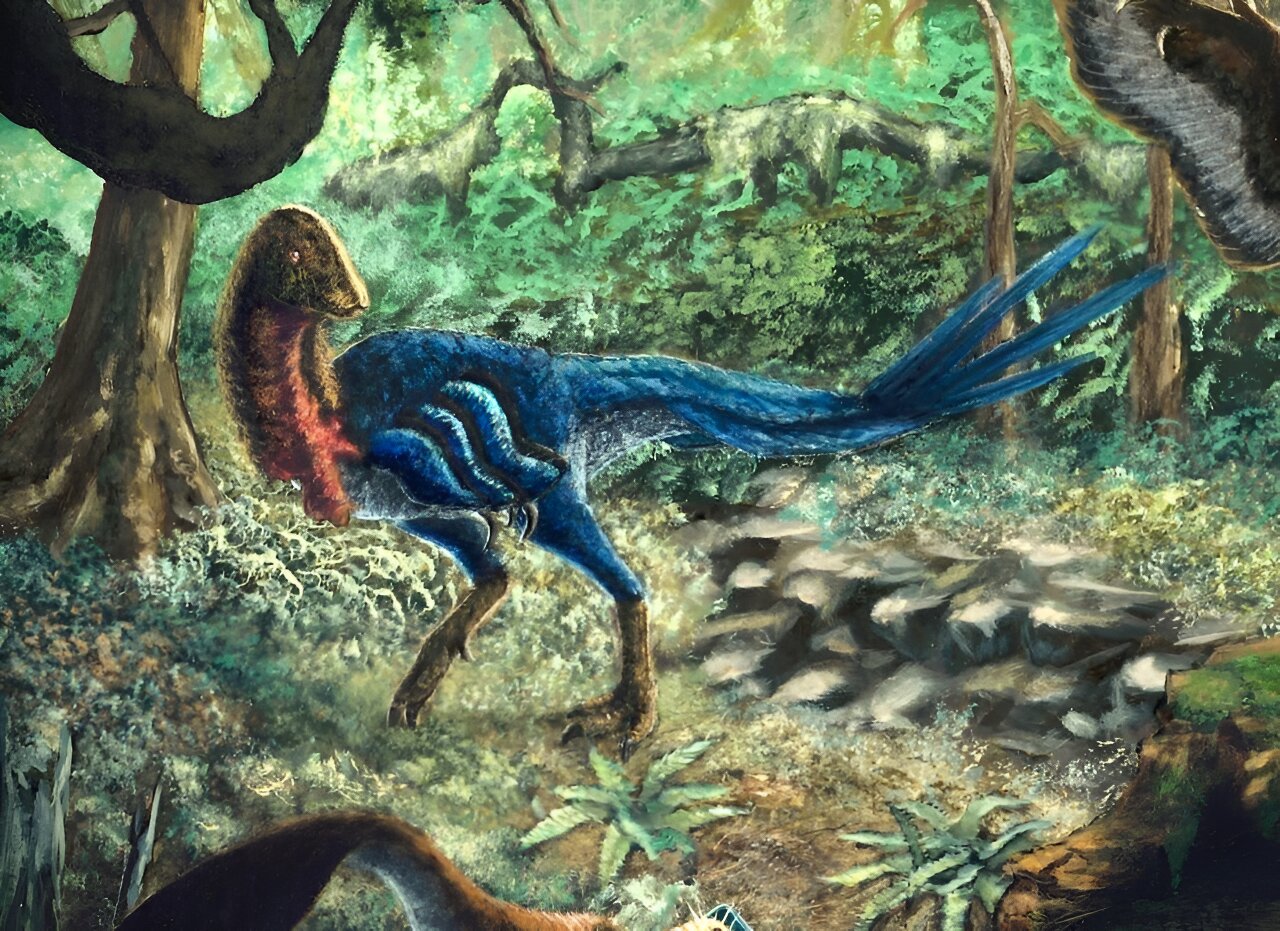 �������������ֱ������������Ե�С����ײ��֮ǰ��������û���������