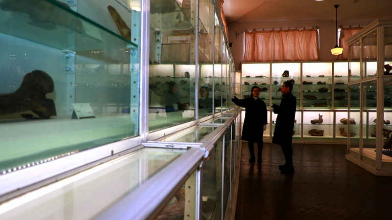 �߽���������Ժ����Խ����ʱ�� �����������ھ������ء���