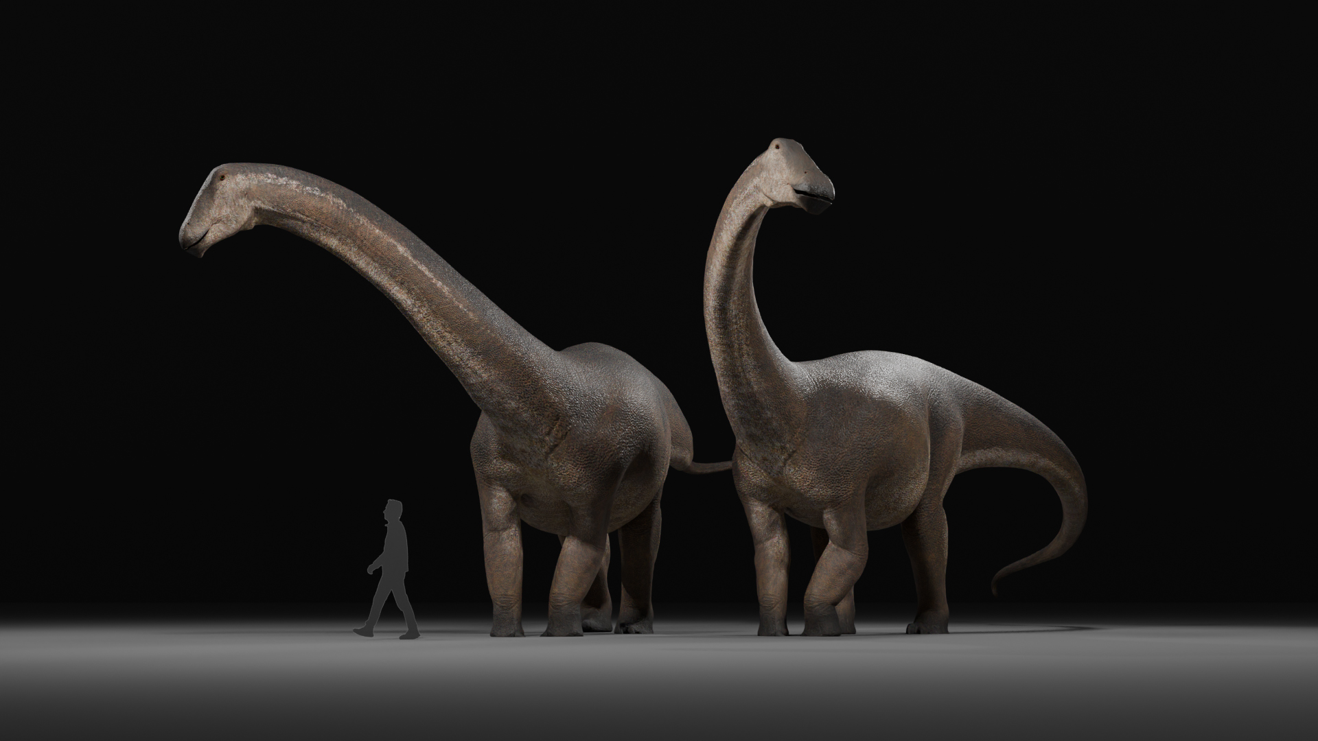 巨大的“星蜥”是同类恐龙中最后（也是最大）的恐龙之一