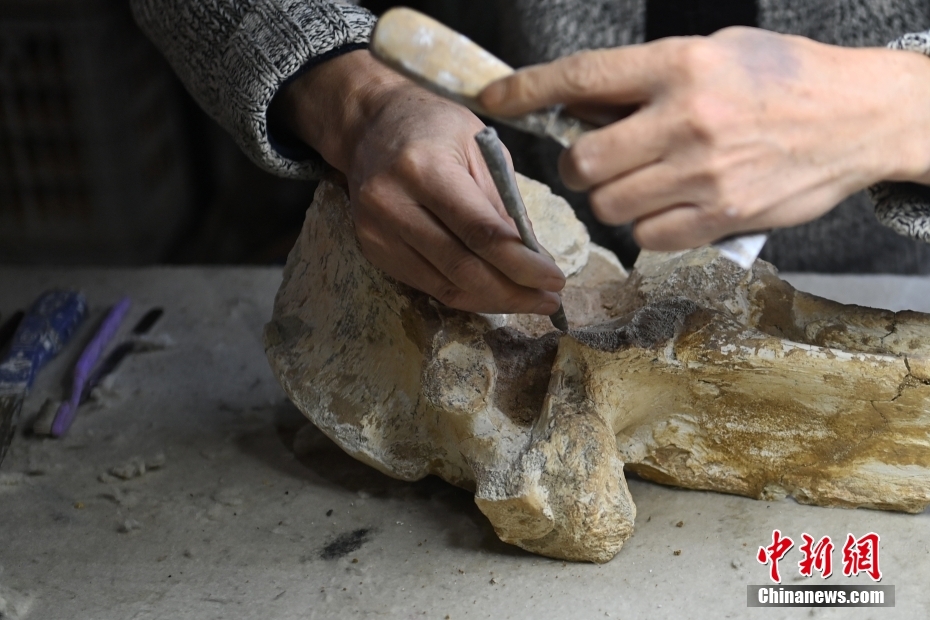 ̽�ع����ﻯʯ�޸��������䡱ְҵ������ƿ��