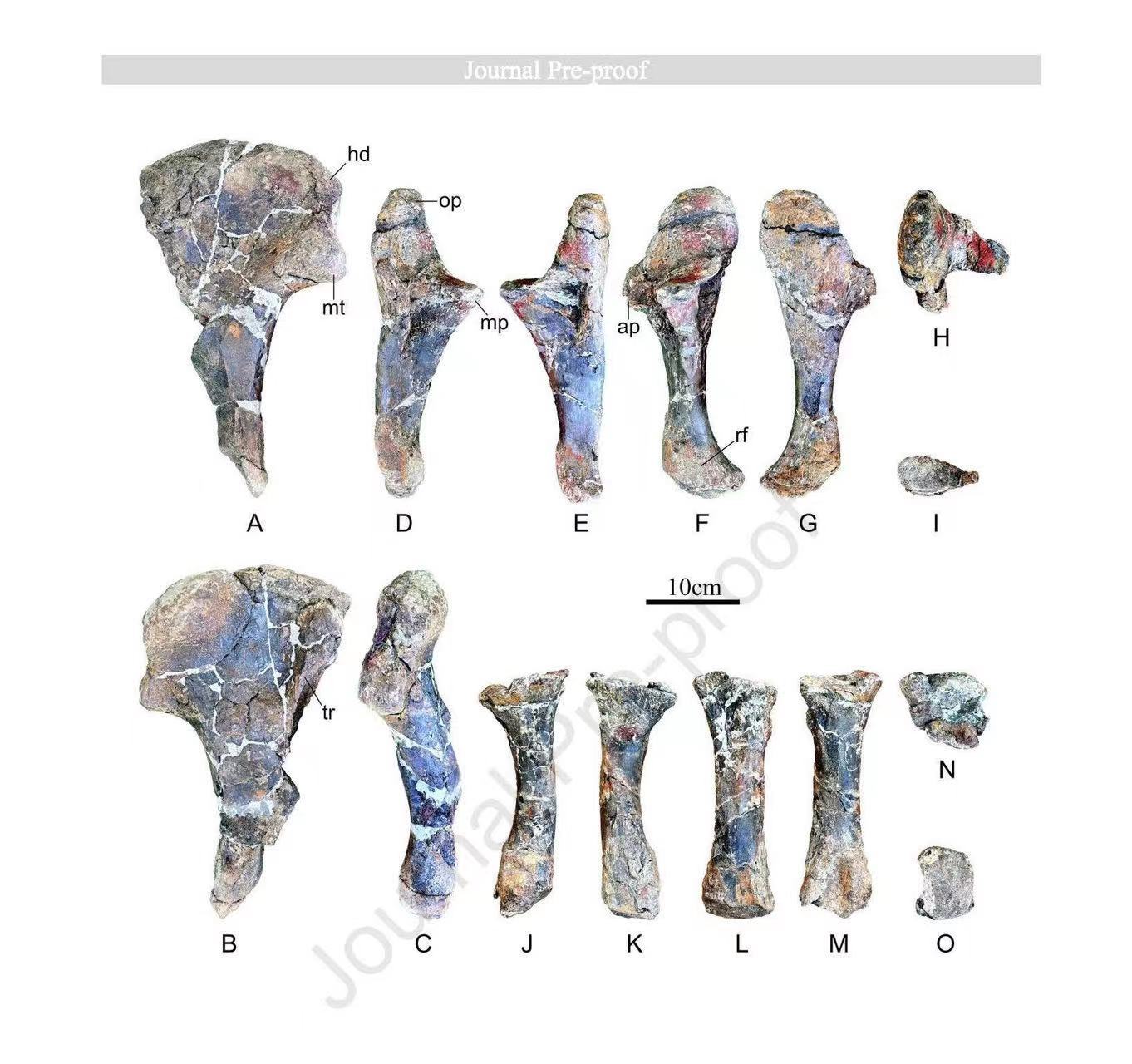 ���й�����ʡ��һֻ������������ѧ���������������߶ȹ�ע