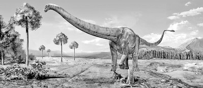 ���꽫��˵����