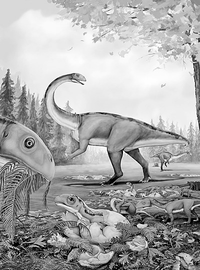 ���꽫��˵����