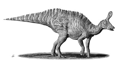 ���꽫��˵����