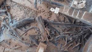 ������ǰ��˭�ǝ�Ϫ���ϵġ�����ר�ҡ���