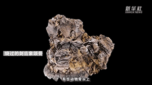 ������ǰ��˭�ǝ�Ϫ���ϵġ�����ר�ҡ���