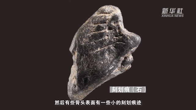 ������ǰ��˭�ǝ�Ϫ���ϵġ�����ר�ҡ���