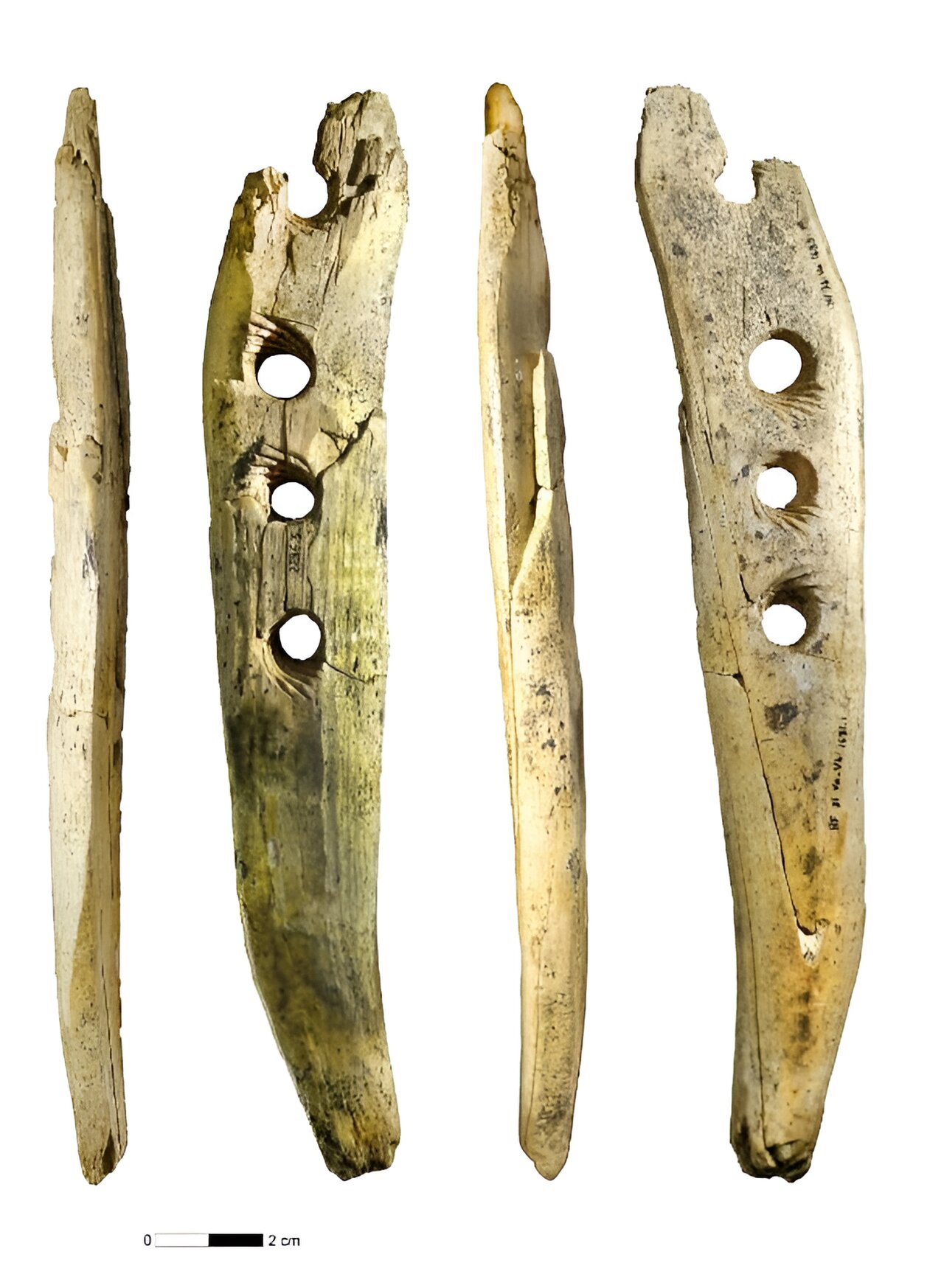 ʵ����������ϵ��Ŀ���������������������