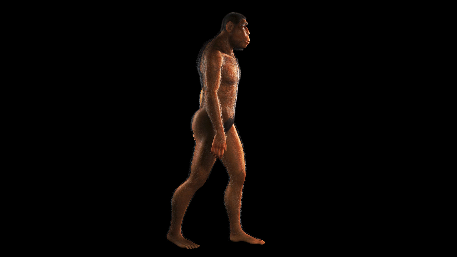 ���ǻ��ӵ������ͥ��8��������������ˣ�1��û�������