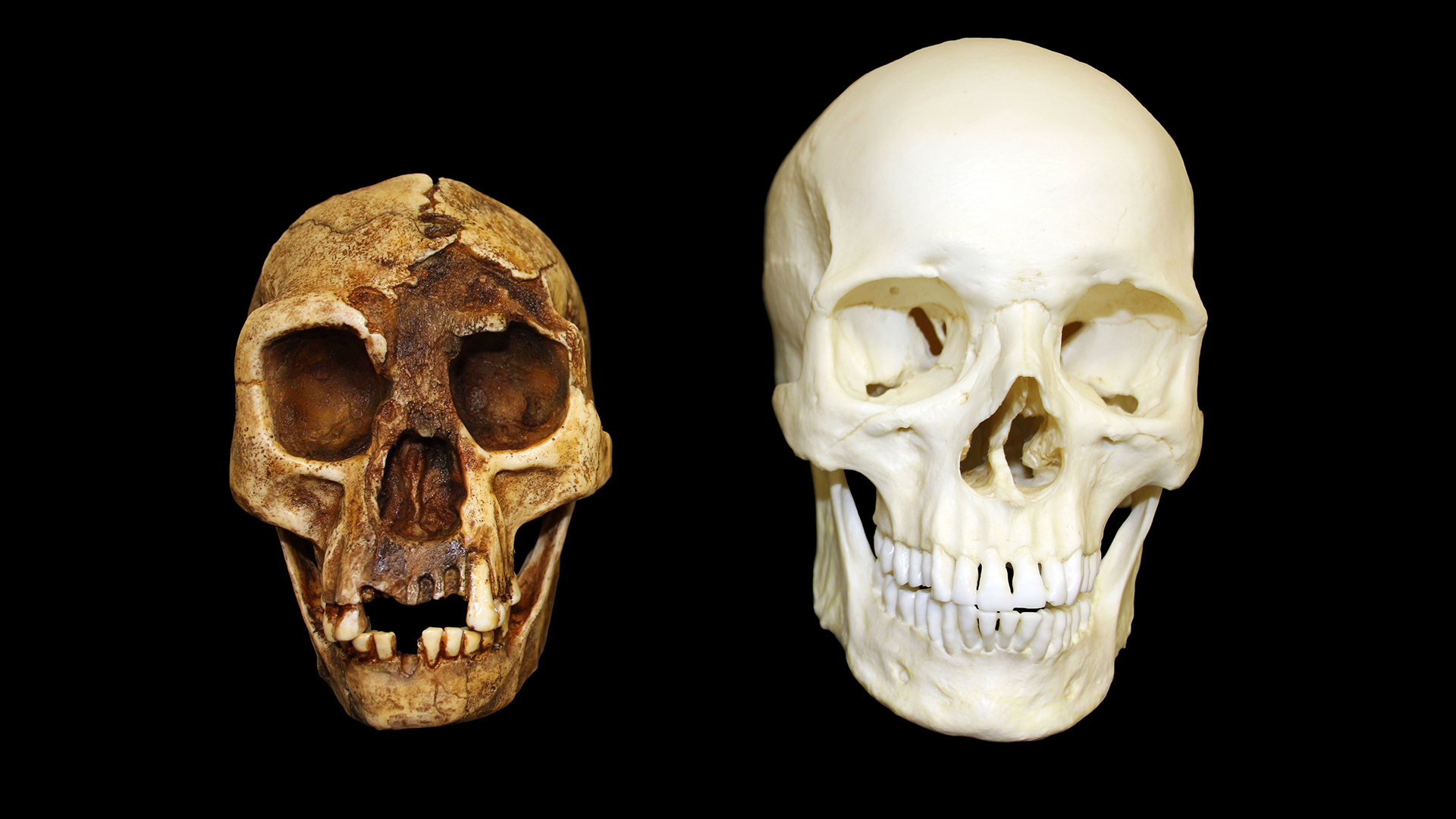 ���ǻ��ӵ������ͥ��8��������������ˣ�1��û�������